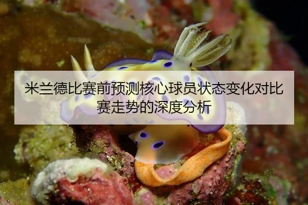 米兰德比赛前预测核心球员状态变化对比赛走势的深度分析